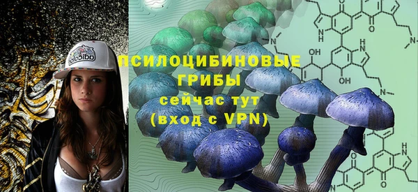 первитин Надым