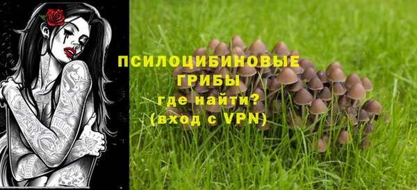 прущие грибы Навашино