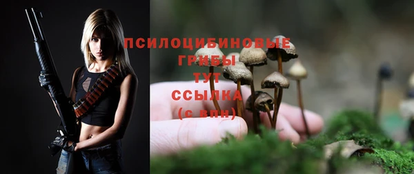 прущие грибы Навашино