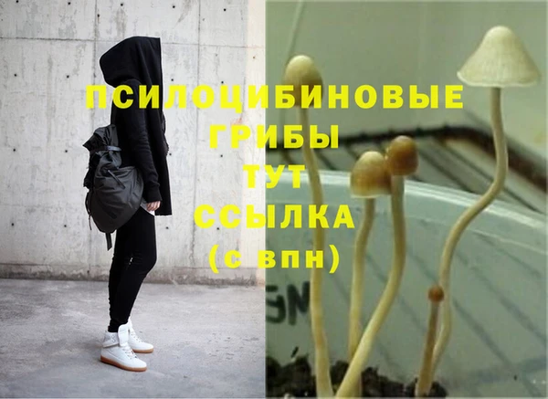 первитин Надым