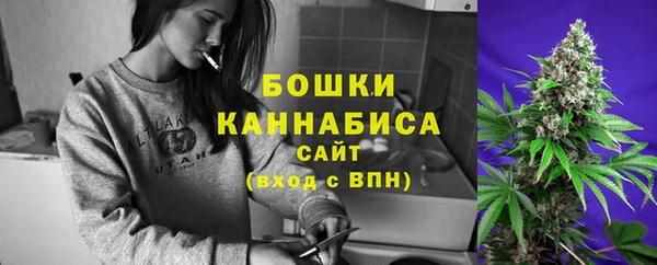 прущие грибы Навашино