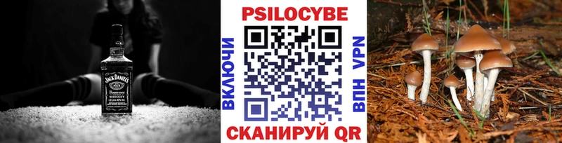 где продают наркотики  даркнет клад  Псилоцибиновые грибы прущие грибы  Азнакаево 