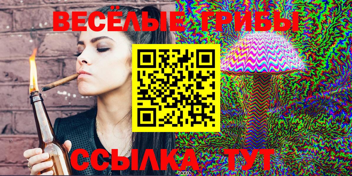 Галлюциногенные грибы Psilocybine cubensis  Вход с VPN  Азнакаево  Псилоцибиновые грибы Cubensis 