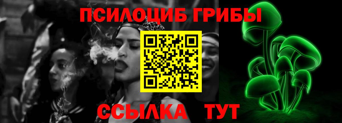 Псилоцибиновые грибы GOLDEN TEACHER Азнакаево